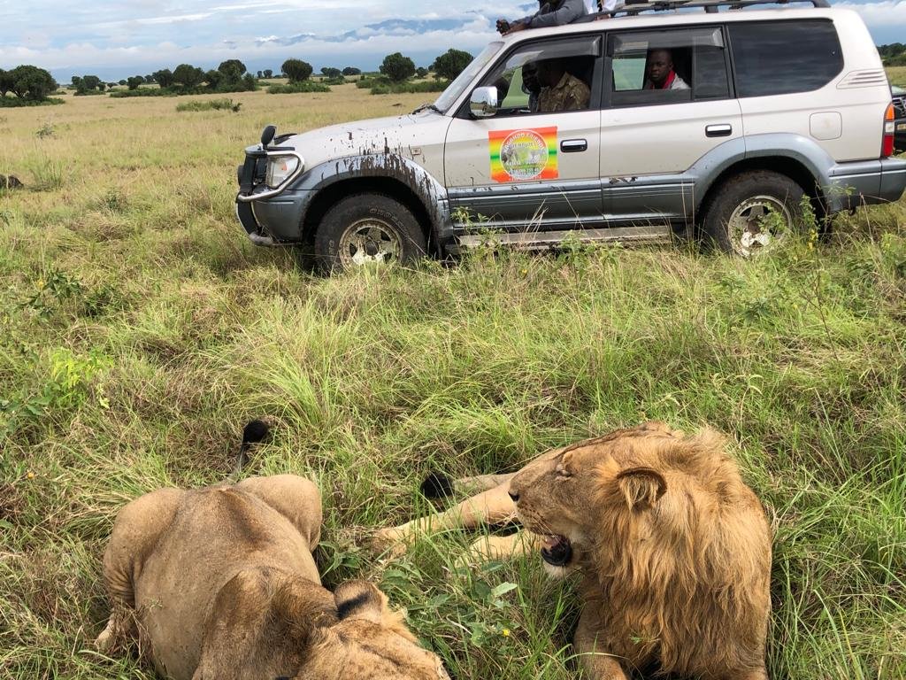 Game drive