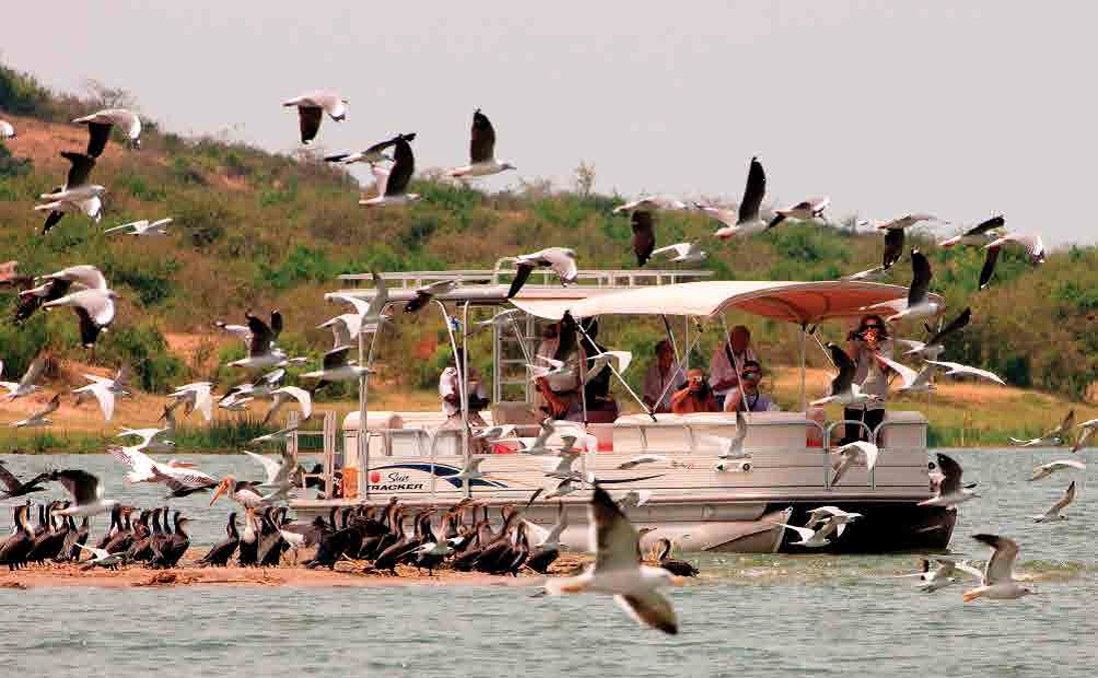 Boat Cruises