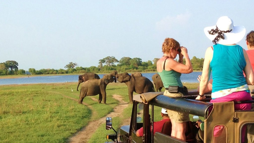Tour Guiding